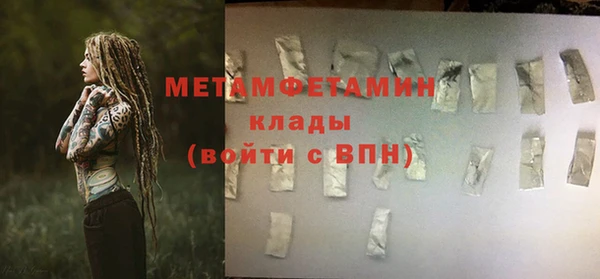 прущие грибы Пересвет