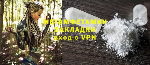 прущие грибы Пересвет