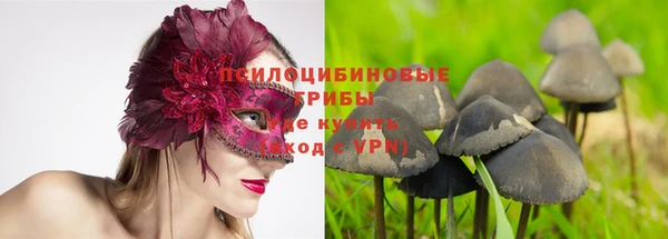 PSILOCYBIN Абинск