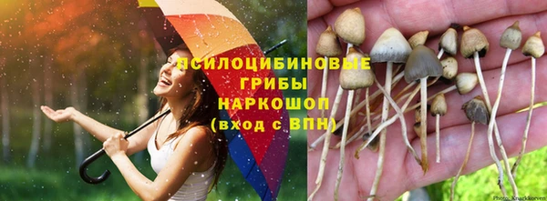 spice Абдулино
